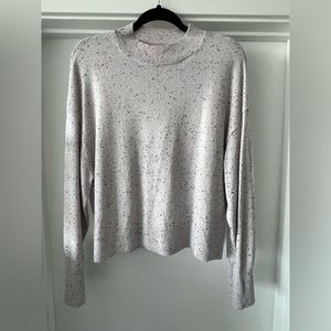 Everlane Cashmere Mockneck Sweater